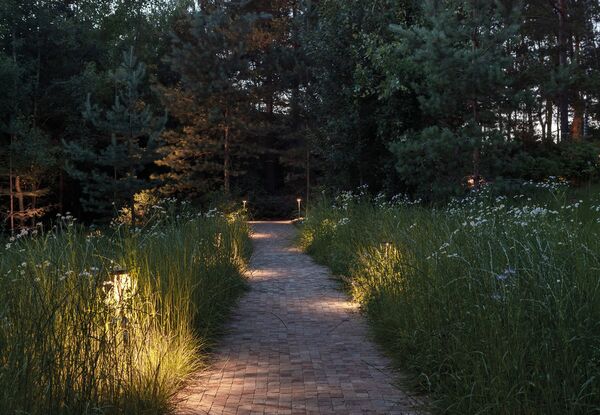 A shaded park path with soft sunlight